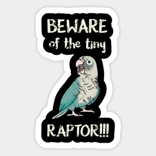 Beware of the tine raptor - cinnamon turquoise conure Sticker